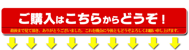 購入はこちらからどうぞ。
