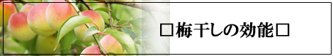 梅干しの効能